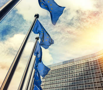 European Parliament Unshell Directive