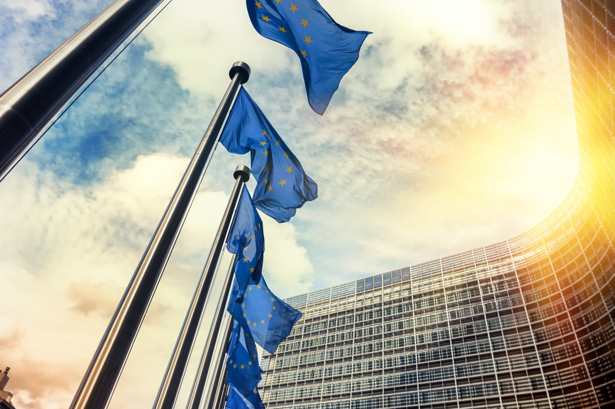 European Parliament Unshell Directive