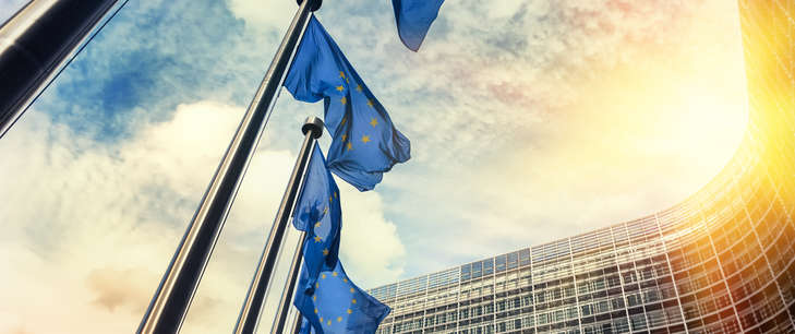 European Parliament Unshell Directive