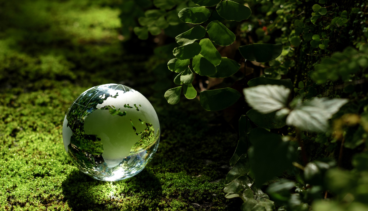 IFRS Sustainability Disclosure Standards