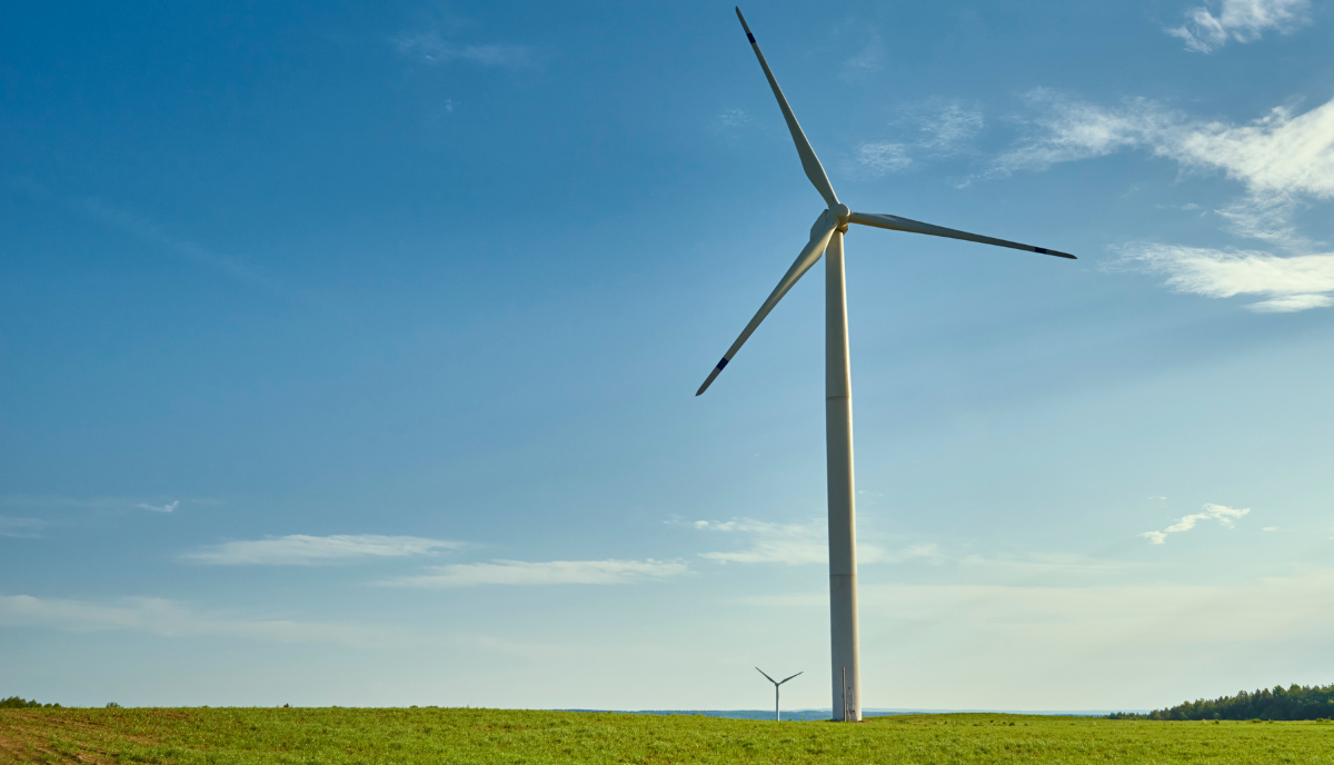 Sustainability, ESG & Innovation