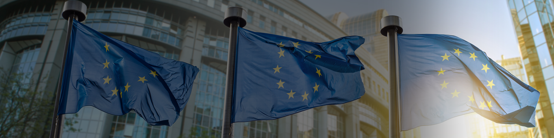 BDO-Malta-EU-Directive