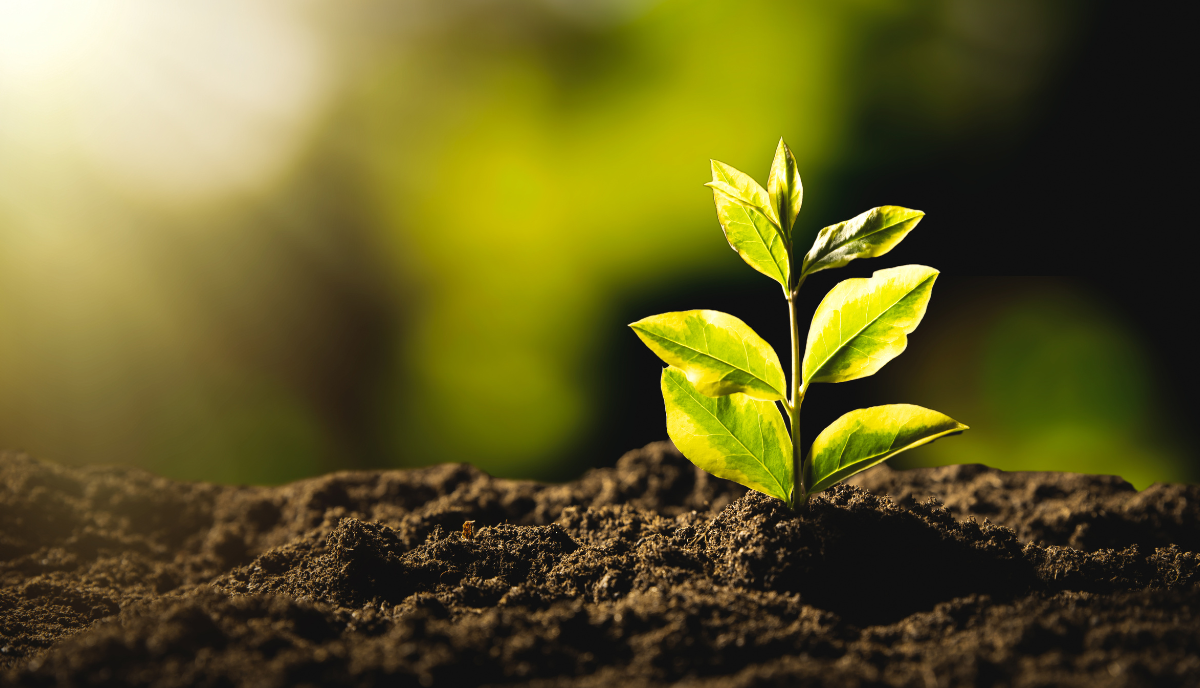ESG & Sustainability roadmap