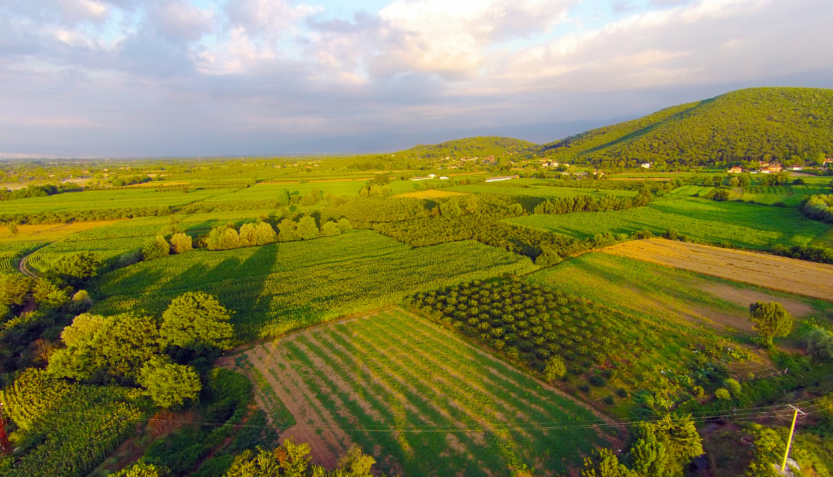 ISO launches Principles for ESG Performance and Reporting