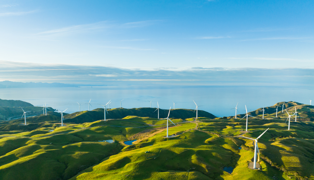 European Sustainability Reporting Standards (ESRS)