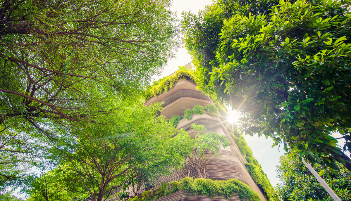 ISRB 2024/08 30 September 2024 Sustainability Reporting Update