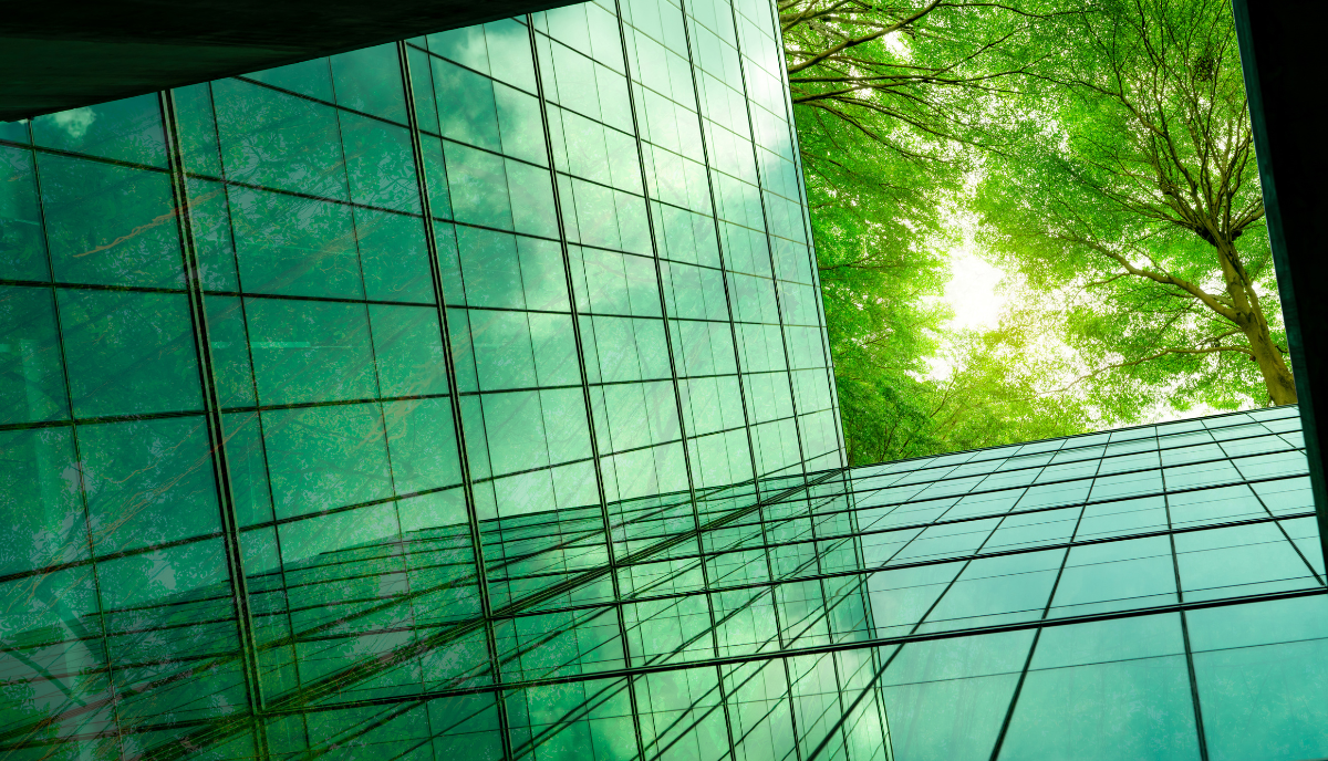 IFRS Sustainability Disclosure Standards 