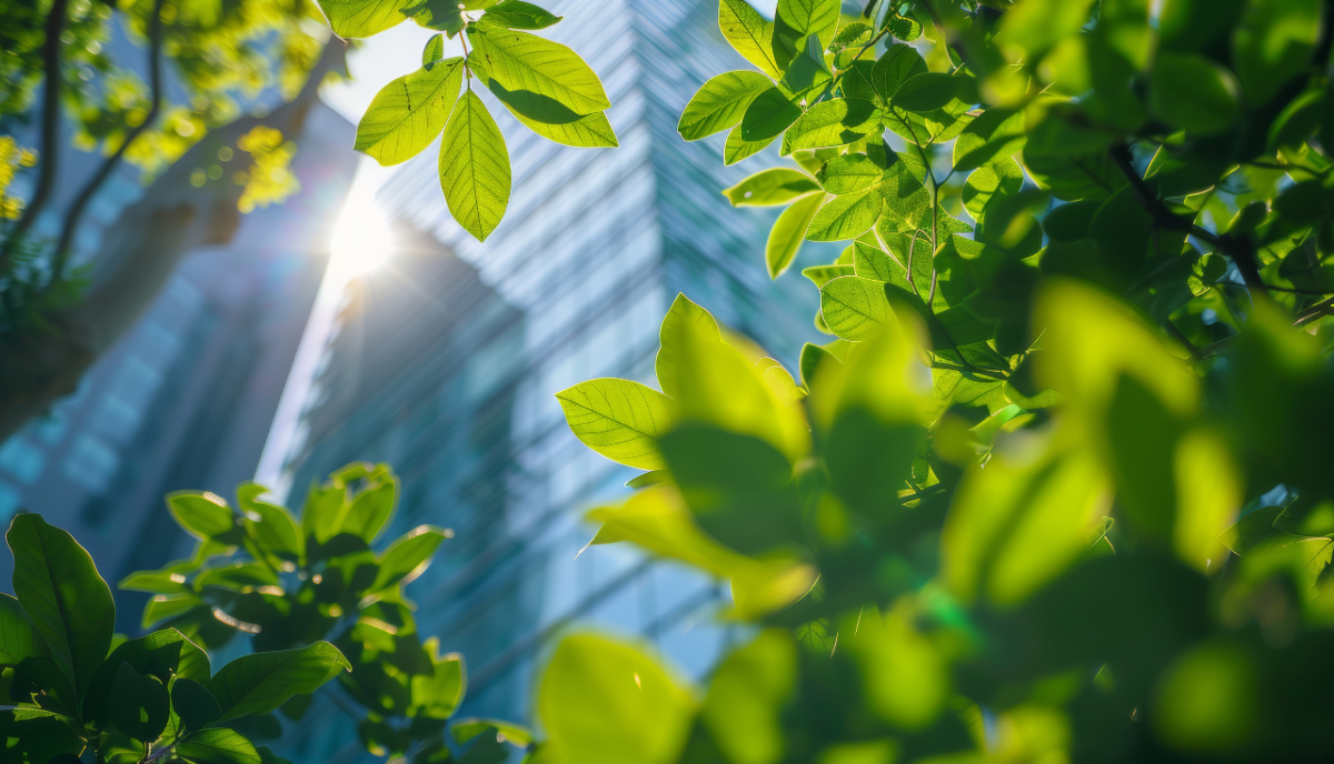 ISRB 2024/09 Q3 2024 Sustainability Reporting Jurisdictional Update